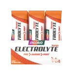 electrolyte-mango-box